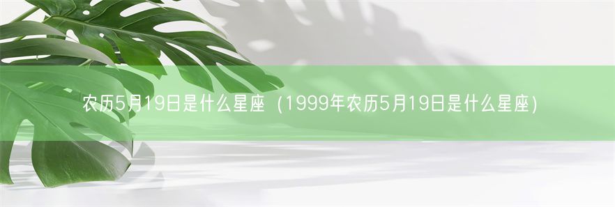 农历5月19日是什么星座（1999年农历5月19日是什么星座）(图1)