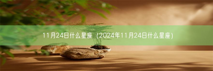 11月24日什么星座（2024年11月24日什么星座）(图1)