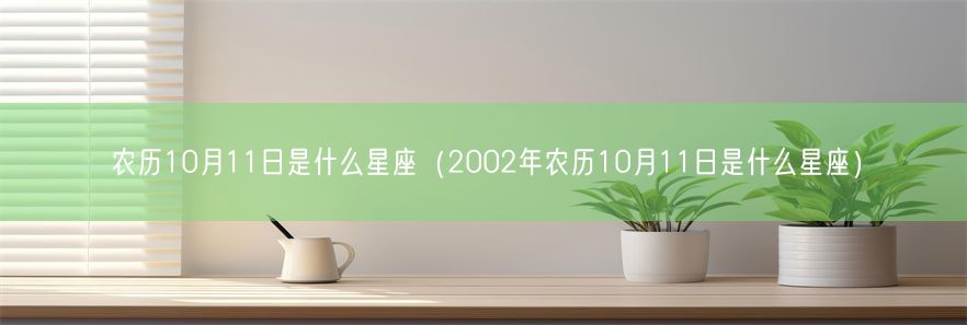 农历10月11日是什么星座（2002年农历10月11日是什么星座）(图1)